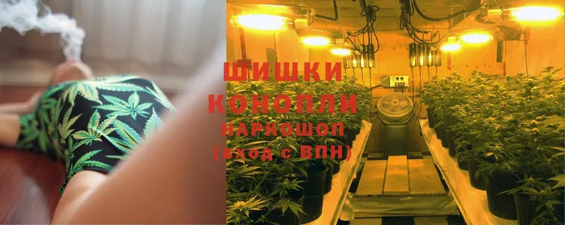 MEGA зеркало  Данков  Бошки марихуана THC 21% 